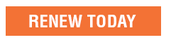 Renew Today